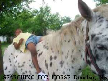 SEARCHING FOR HORSE Donebar, Near Ramona, OK, 74061